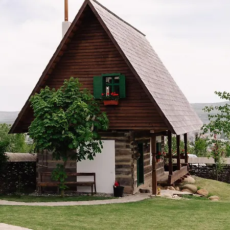 Echoes Of Vladicu Chalet *