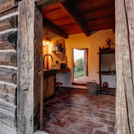 Echoes Of Vladicu * Kluż-Napoka