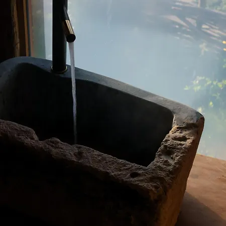 Echoes Of Vladicu Cluj-Napoca