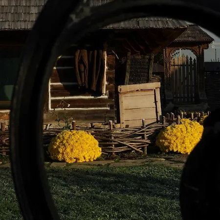 Echoes Of Vladicu Chalet *