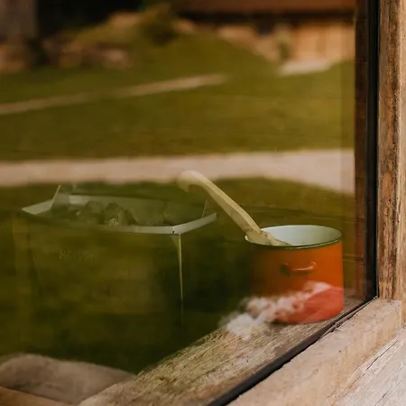 Echoes Of Vladicu Chalet *