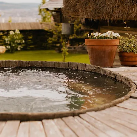 Echoes Of Vladicu Cluj-Napoca