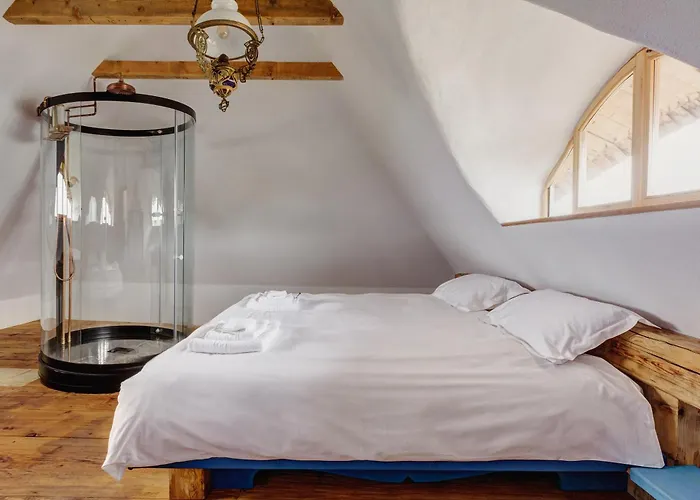 Chalet Echoes Of Vladicu