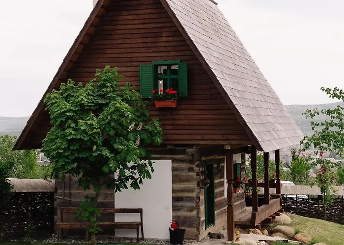 Echoes Of Vladicu Chalet *