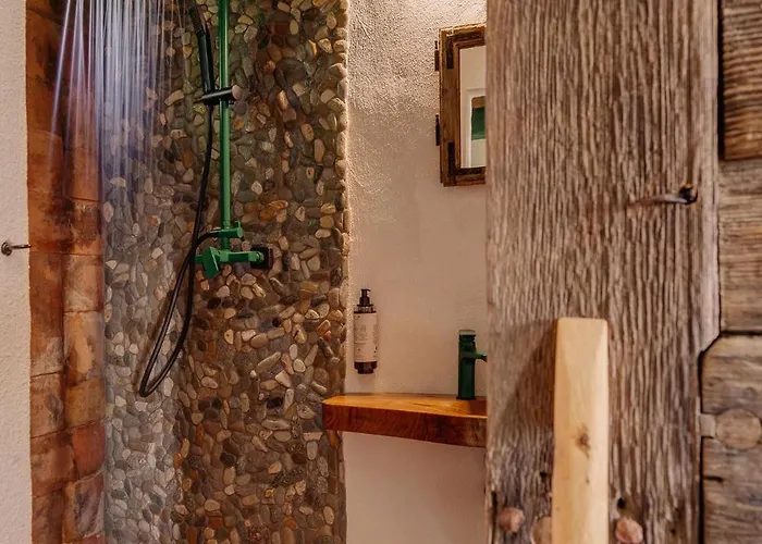 샬레 Echoes Of Vladicu 클루지나포카