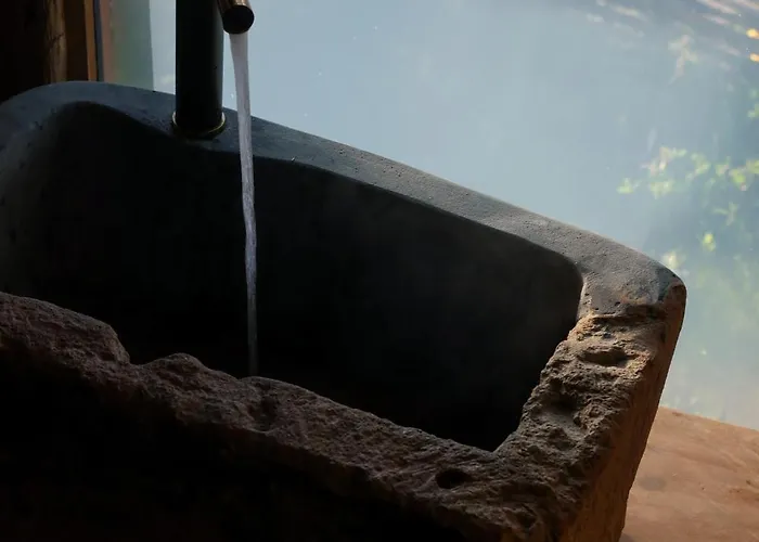 Echoes Of Vladicu Κλουζ-Ναπόκα