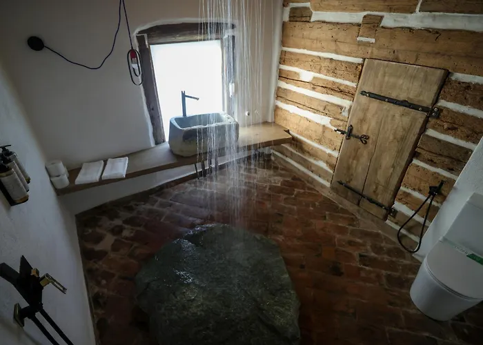 Σαλέ Echoes Of Vladicu