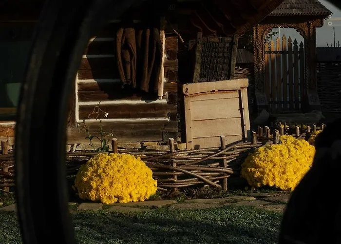 Echoes Of Vladicu Chalet *