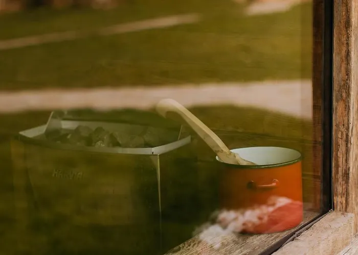 Echoes Of Vladicu Σαλέ *