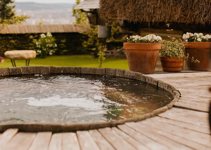 Echoes Of Vladicu 클루지나포카